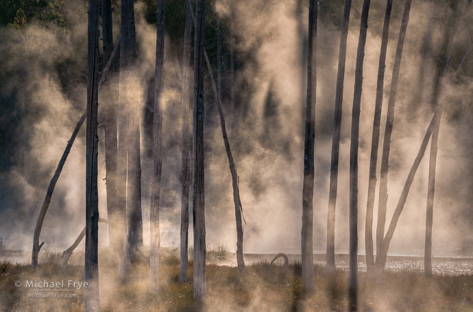 24. Mist and trees, Yellowstone NP, WY, USA