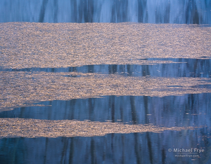 Ice and tree reflections, Yosemite NP, CA, USA