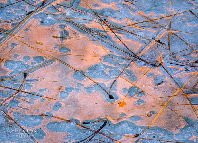 41. Melting ice, pine needles, and reflections, Yosemite NP, CA, USA