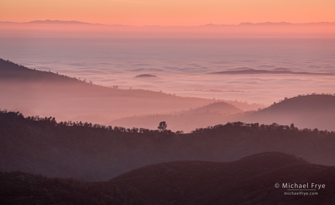 42. View toward the foggy Central Valley from the Sierra Nevada foothills, CA, USA