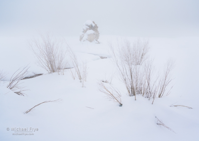 Fog, snow, willows, and tufa, Mono Lake, CA, USA