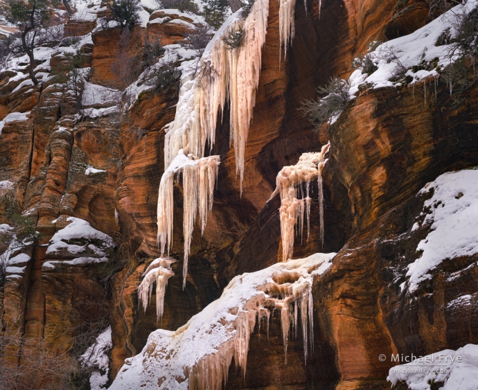 Icicles, Zion NP, UT, USA