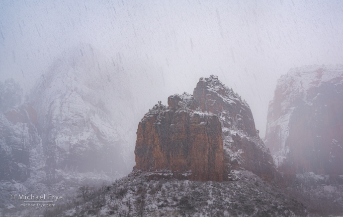 Falling snow, Zion NP, UT, USA