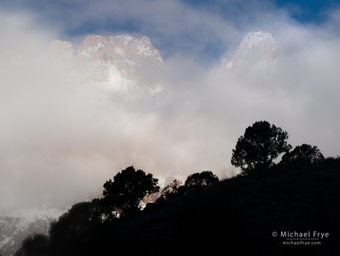 Junipers and rock formations after a snowstorm, Zion NP, UT, USA