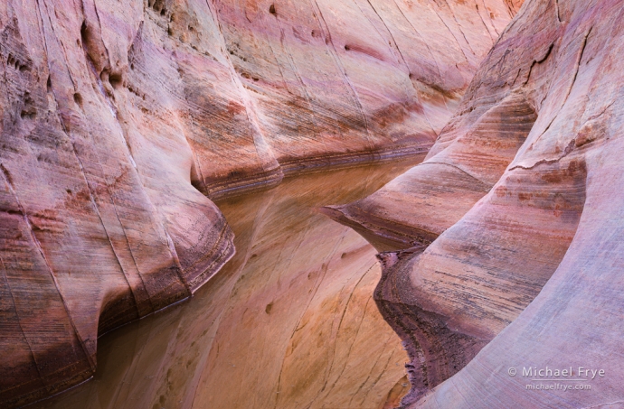 Pool in a slot canyon, Valley of Fire SP, NV, USA