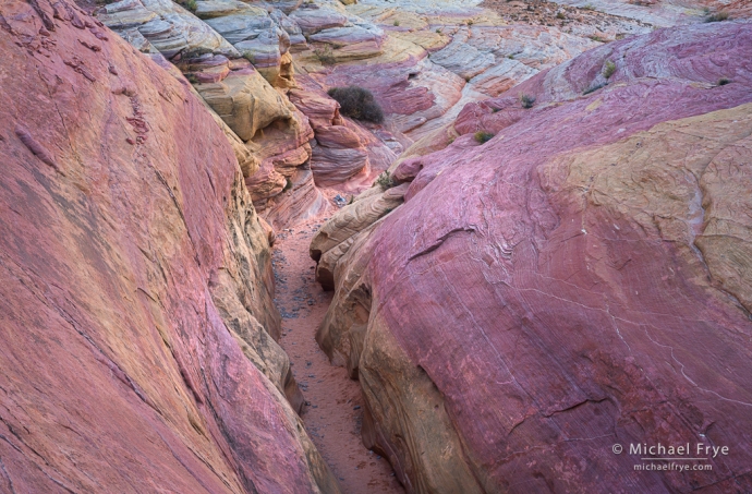 Sandstone kaleidoscope, Valley of Fire SP, NV, USA