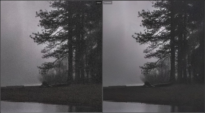 200% comparison with Topaz Denoise AI on the left, and Adobe's new AI-powered Denoise on the right (Amount 50)