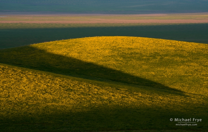 Flower-coverd hills, Coast Ranges, CA, USA