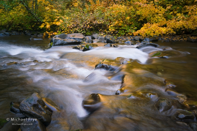 Cascade and reflections with autumn color, Olympic NP, WA, USA