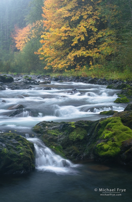 Cascade in autumn, Olympic NP, WA, USA