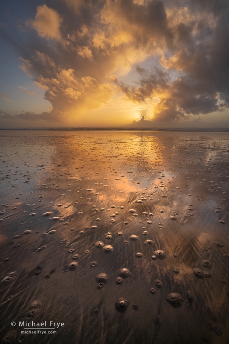 Sunset and creature burrows (possibly shrimp or worms) on a Washington beach, USA