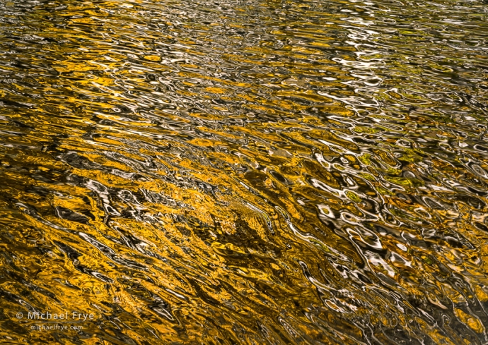 Aspens reflections, Inyo NF, CA, USA