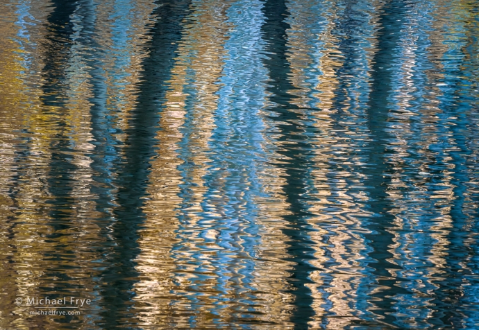 Aspen trunks reflected in a creek, Inyo NF, CA, USA