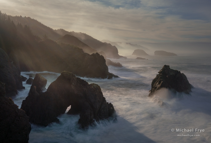 Misty morning along the Oregon Coast, USA