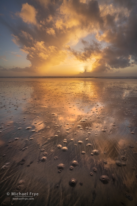 33. Sunset and creature burrows on a Washington beach