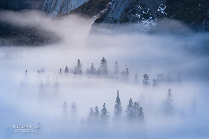 Trees, fog, and cliffs, Yosemite NP, CA, USA