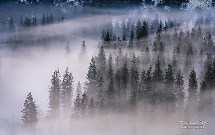 Fog tendrils, Yosemite NP, CA, USA