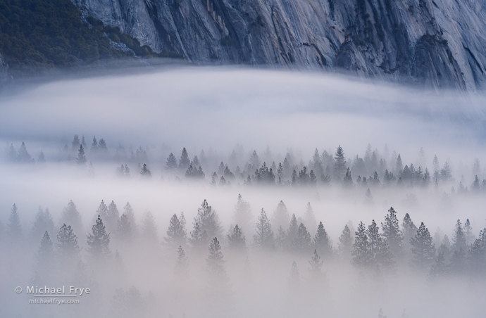 Trees, fog, and cliffs, Yosemite NP, CA, USA