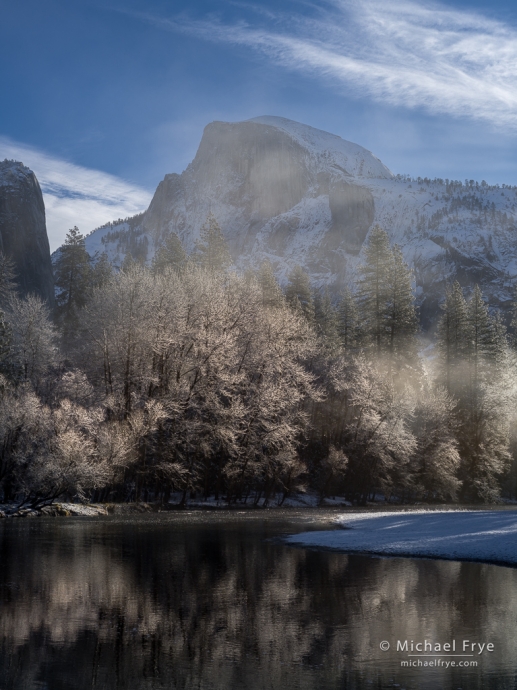 Half Dome and cottonwood trees, winter, Yosemite NP, CA, USA