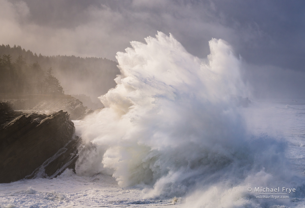0224-47968 Crashing wave on a foggy morning, Oregon Coast, USA