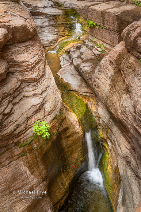 Cascades and mokeyflowers in a limestone canyon, Grand Canyon NP, AZ, USA