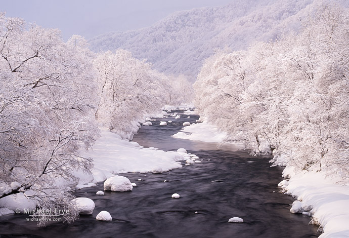 River and snow-covered trees, Hokkaido, Japan