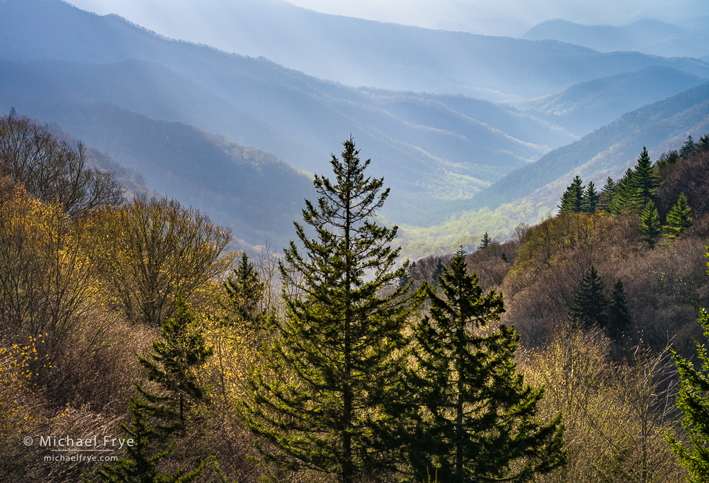 Trees, hills, and sunbeams, Great Smoky Mountains NP, NC, USA