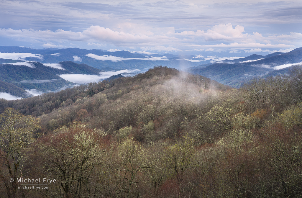 Clouds, mist, and early spring color, Great Smoky Mountains NP, NC, USA