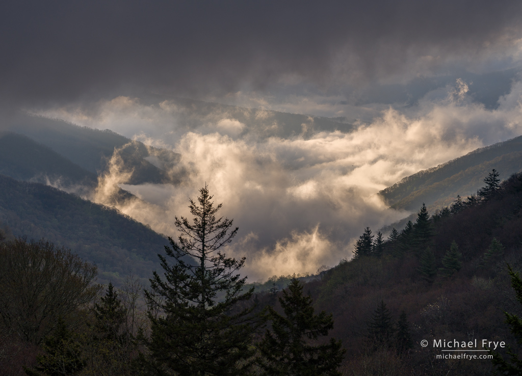 Clearing storm, Great Smoky Mountains NP, NC, USA