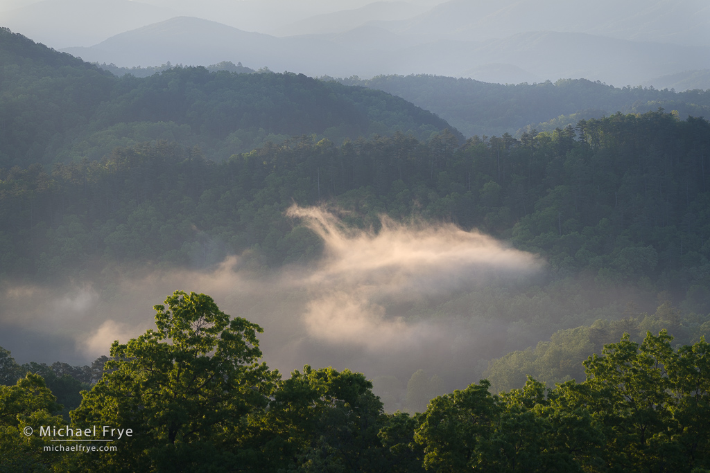 Sunrise mist, Foothills Parkway, TN, USA