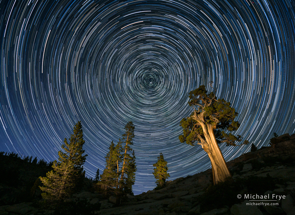 0222-17527 Trees and star trails, Yosemite NP, CA, USA
