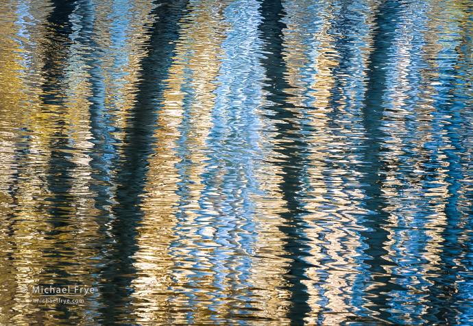 Aspen reflections, Inyo NF, CA, USA
