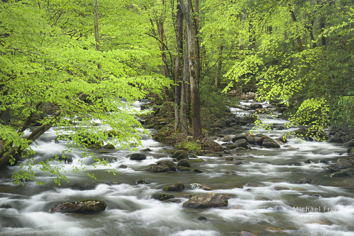 River island, Great Smoky Mountains NP, TN, USA