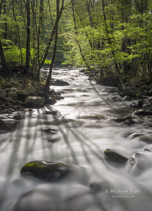Tree shadows and rushing creek, Great Smoky Mountains NP, TN, USA