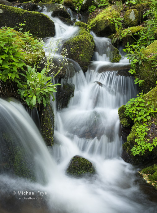 Small cascade, Great Smoky Mountains NP, TN, USA