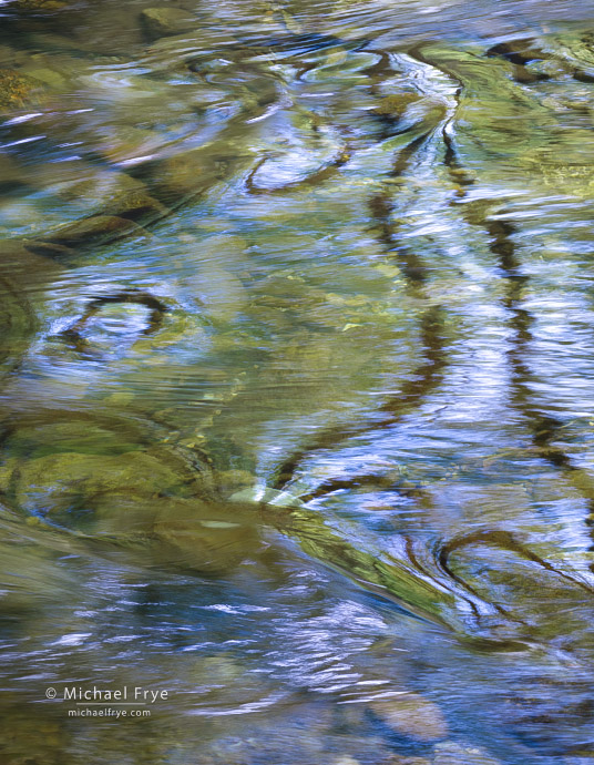 Reflection abstract, Great Smoky Mountains NP, TN, USA