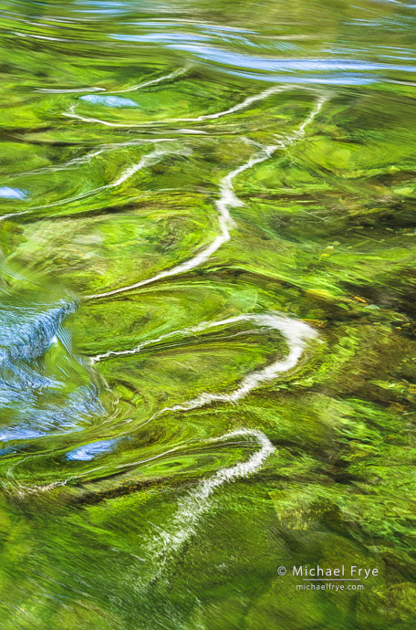 Squiggles, Great Smoky Mountains NP, TN, USA
