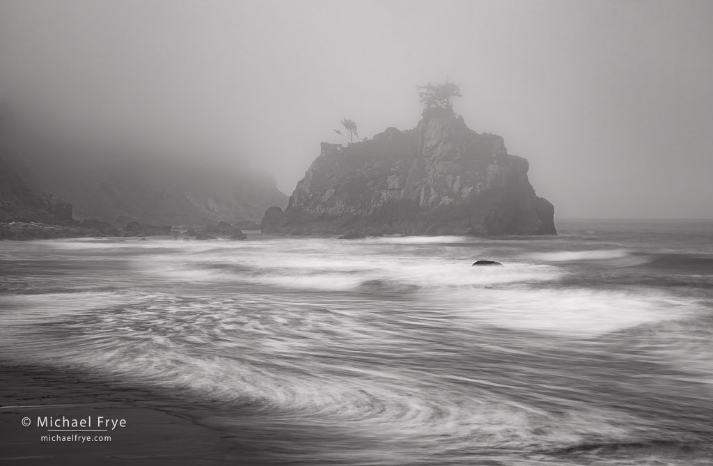 Foggy Shores