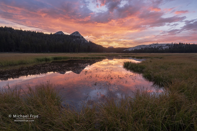 Sunset reflected in a high-country pond, Yosemite NP, CA, USA