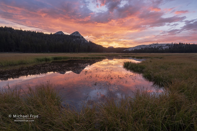 Sunset reflected in a high-country pond, Yosemite NP, CA, USA