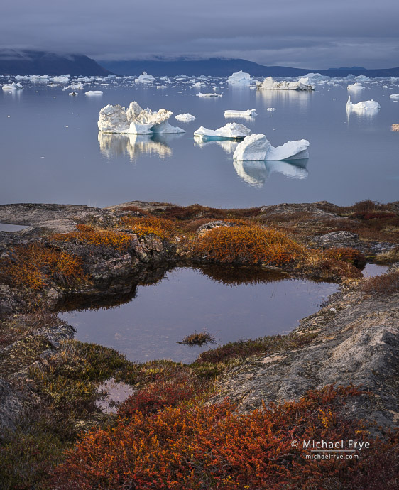 Tundra, pond, and icebergs, Scoresby Sund, Greenland