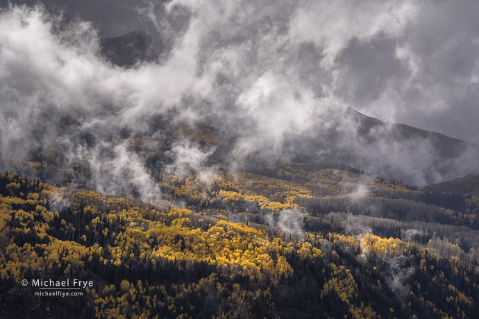 Clouds, mist, and aspens, Colorado, USA