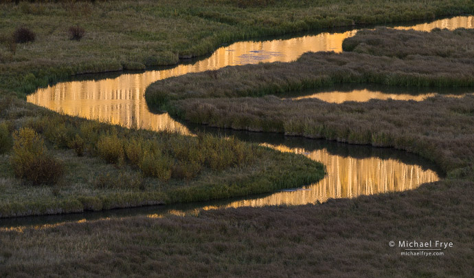 29. Aspens reflected in a creek, Utah, USA