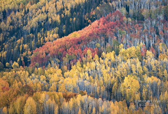 30. Aspen hillside, Utah, USA