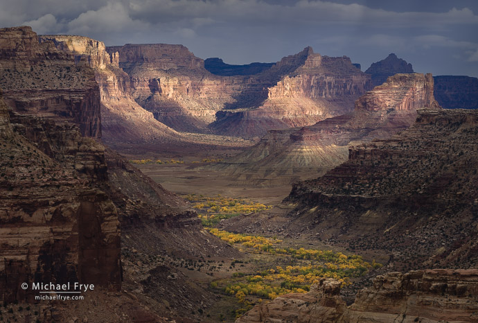 44. Dappled light at a canyon overlook, Utah, USA