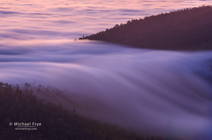 Fog pouring into the Sierra Nevada foothills at dusk, CA, USA