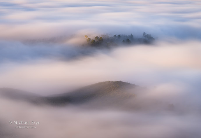 Islands in the fog, Sierra Nevada foothills, CA, USA