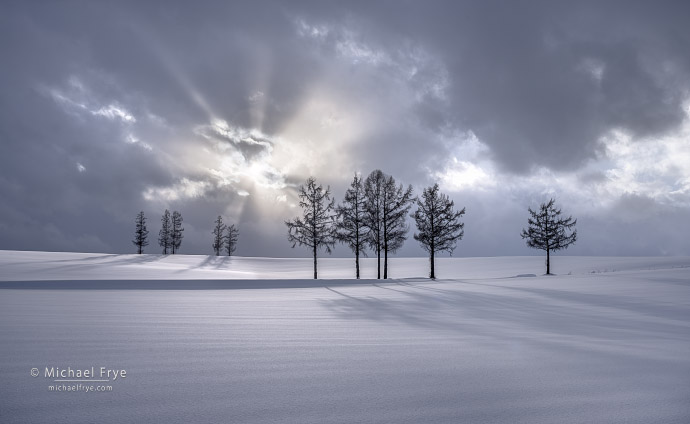 10. Snow, trees, and sunbeams, Hokkaido, Japan