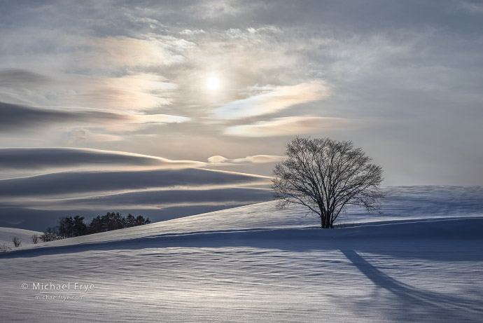11. Sun, tree, snow, and cloud iridescence, Hokkaido, Japan