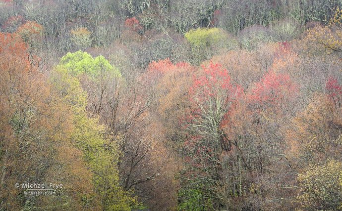 15. Spring tapestry, Blue Ridge Parkway, NC, USA